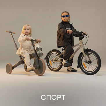 Спорт